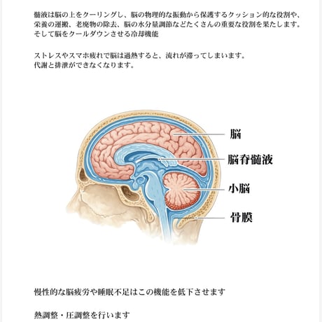 Oimethodパイテラピーオイル（化粧用油）30m 外耳アロマ