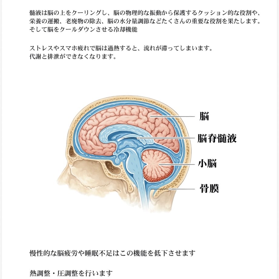 6a166ffc29bb8000796bd13f