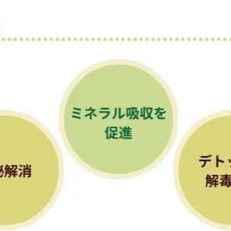 ペットのための酵母と麹 ｜ペット用発酵サプリメント ｜顆粒 60g