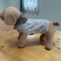 【テラペット・ケア・ウエア　】