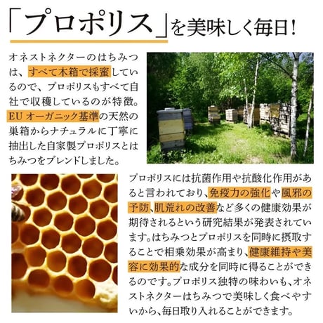 オネストネクター　プロポリスハニー（個包装・スティックタイプ）