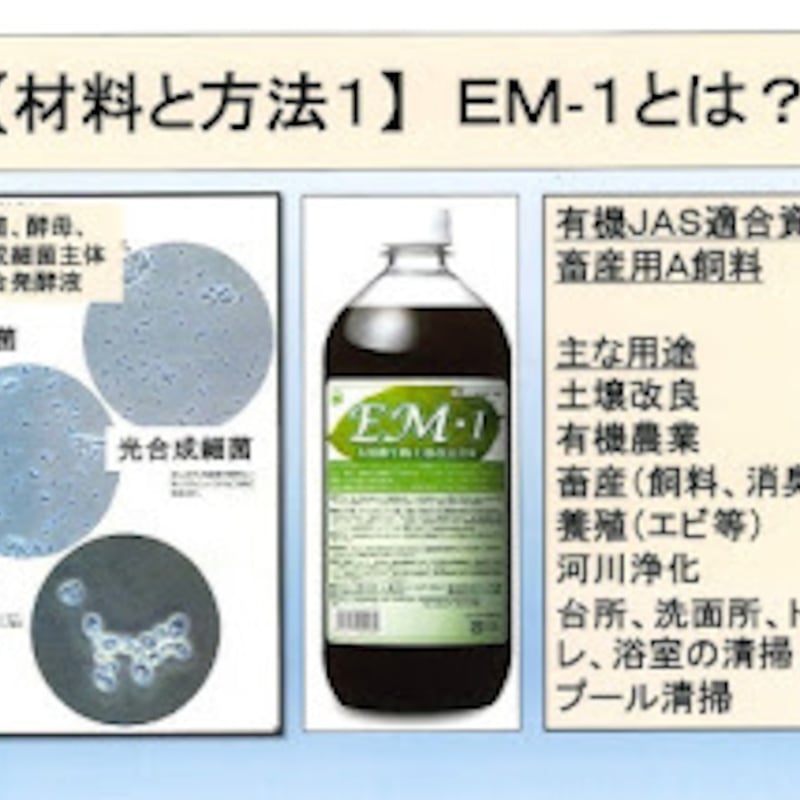EM活性液 2リットル ６本セット EM 活性液 2リットル | Amour贈STORE