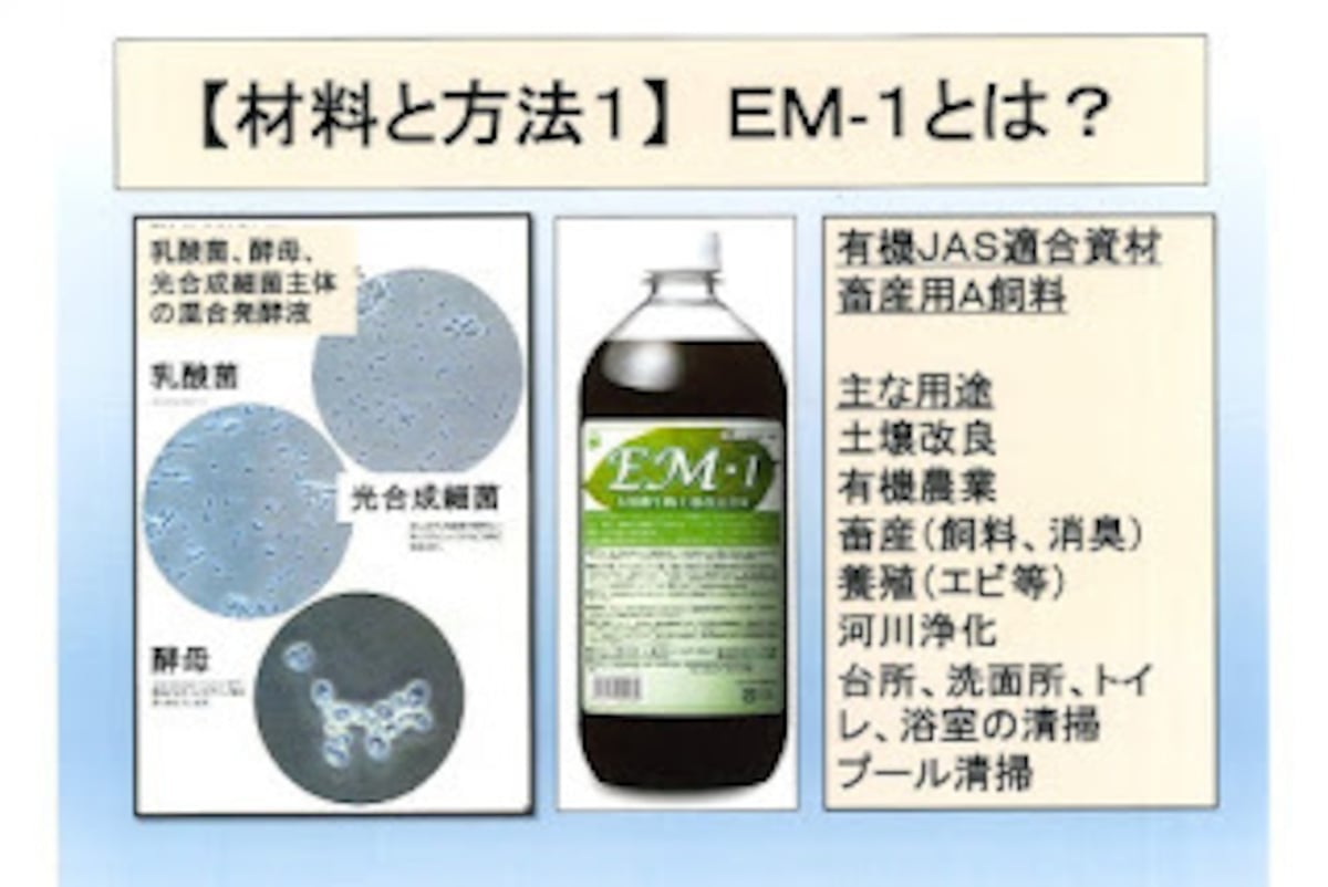 EM活性液 2リットル ６本セット EM 活性液 2リットル | Amour贈STORE