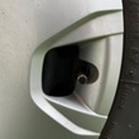 e-AVC      Power valve cap 4本セット