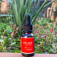 大地の鼓動 for the body 20ml 増量
