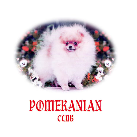 POMERANIAN CLUB MEMORIAL T-SHIRTS