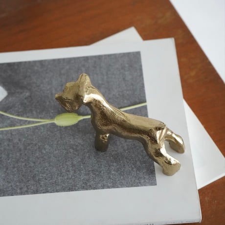 Golden Schnauzer