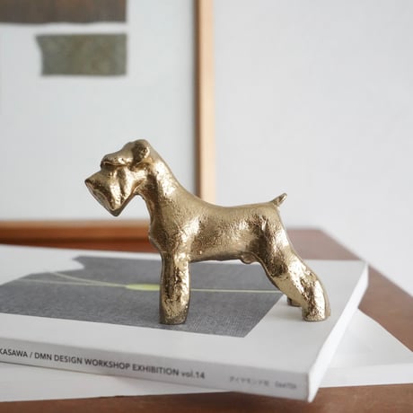 Golden Schnauzer