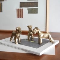 Golden Schnauzer