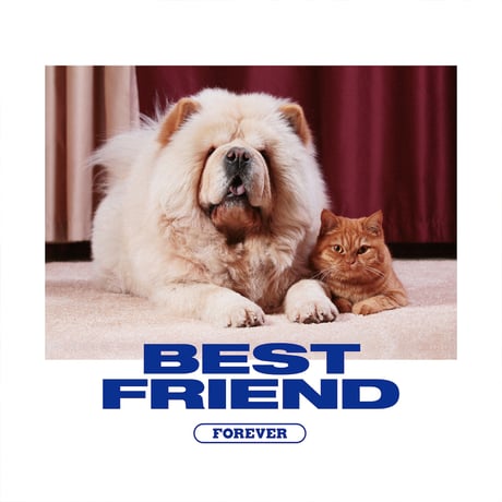 BEST FRIEND T-SHIRTS