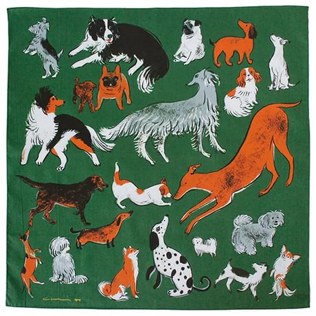 DOG RUN