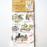 multi cloth / 8