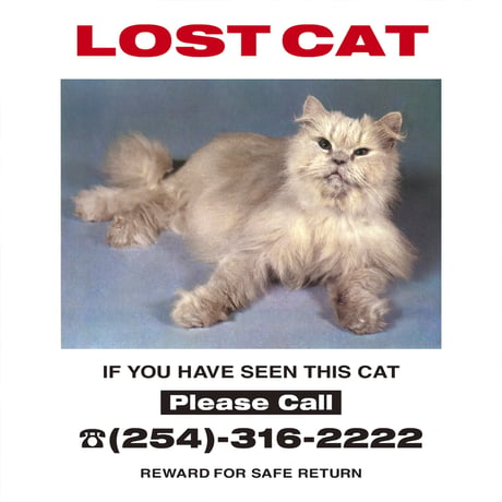LOST CAT T-SHIRTS