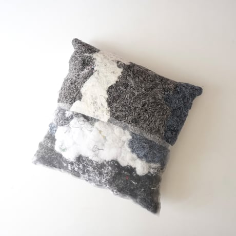 oops cushion 5 / Ph.D.