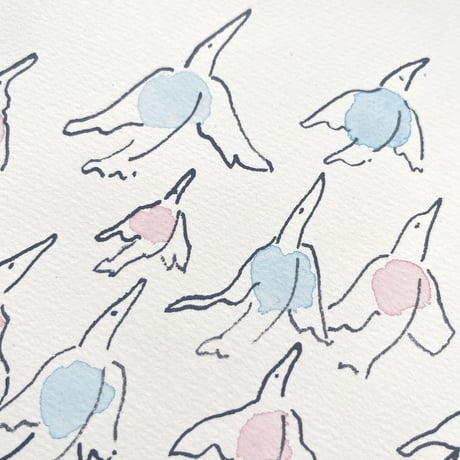 birds on the road