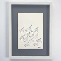 birds on the road