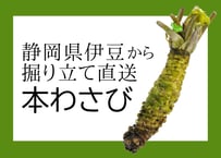 本わさび（中）40-50g