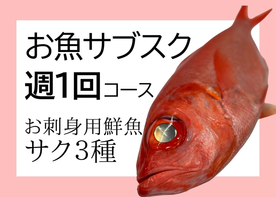 6a1546cac774eb188b11569c