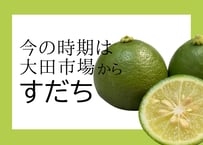 すだち（ミニ1個）のご注文はコチラ