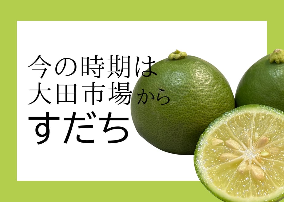 6981876c427a880f5347a6b3