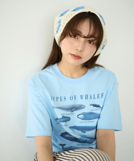 Dolphin Babushka