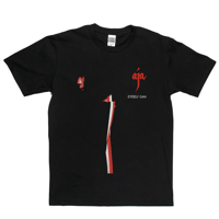 【輸入新品レア】 STEELY DAN - AJA BLACK スティーリーダン Tシャツ Gildan Ultra Cotton