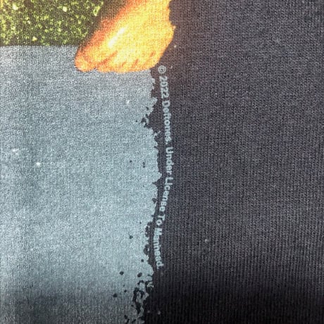 【公式新品】DEFTONES - AROUND THE FUR 2022 デフトーンズ Tシャツ GILDAN HEAVY COTTON