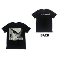 【公式新品】 BAUHAUS - UNDEAD DISCHARGE バウハウス Tシャツ GILDAN SOFTSTYLE