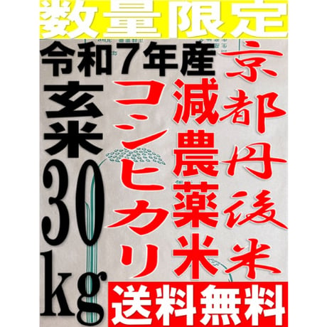 数量限定 玄米 30kg 令和7年産 京都 丹後 コシヒカリ 送料無料 減農薬