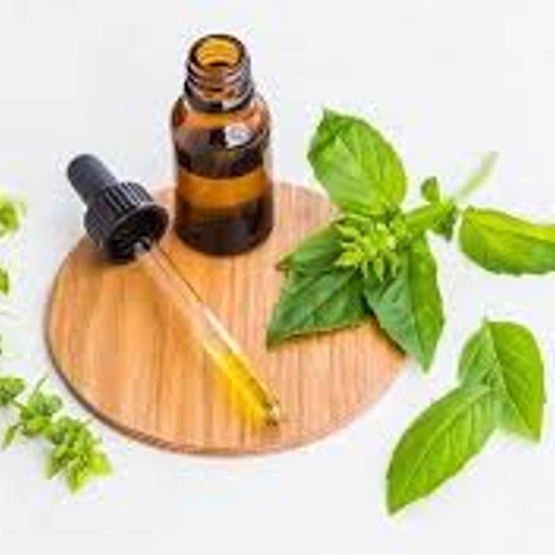 無添加 よもぎ石鹸〈ミントの香り〉5個セット | 無添加工房 和 NAGOMI