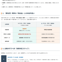 子ども子育て支援金導入パッケージ