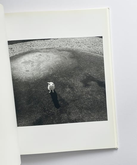 ON THE CIRCLE | 普後均(Hitoshi Fugo)