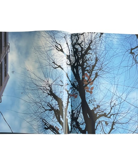 好色 | 荒木経惟 (Nobuyoshi Araki)