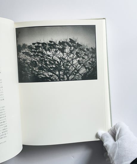 MASAHISA FUKASE | 深瀬昌久