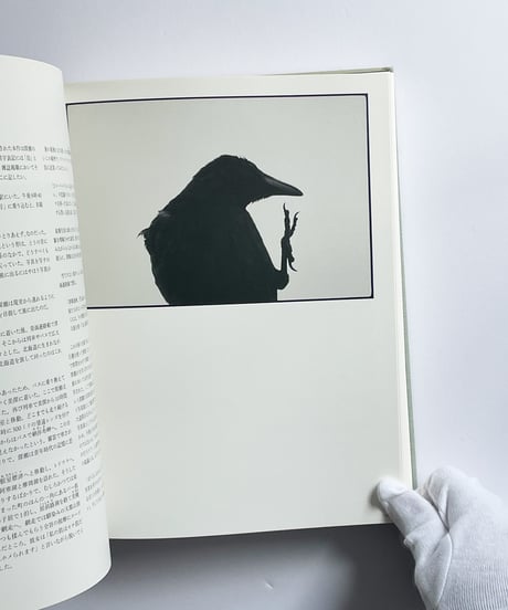 MASAHISA FUKASE | 深瀬昌久