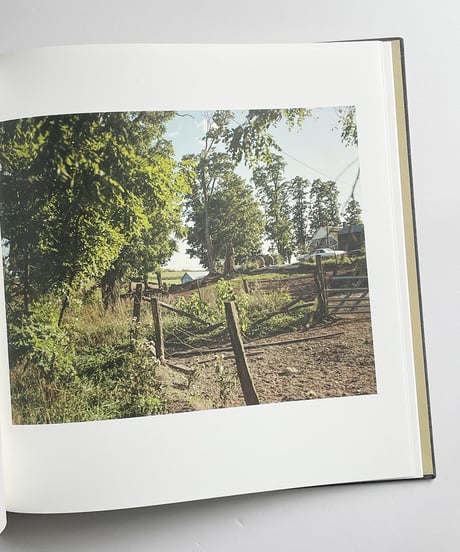 Elements | Stephen Shore /スティーブン・ショア