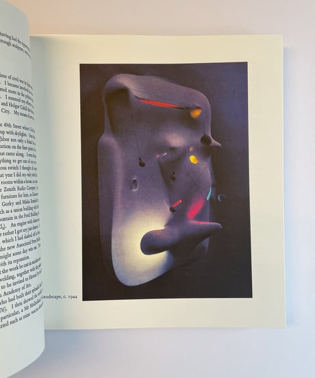 Isamu Noguchi | a sculptor's world イサム・ノグチ
