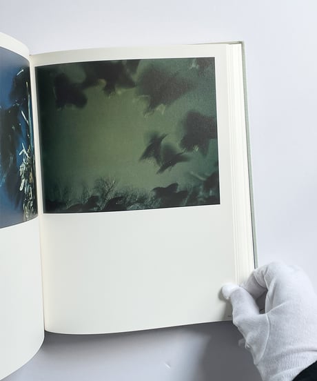 MASAHISA FUKASE | 深瀬昌久