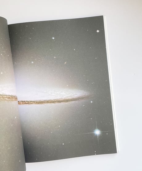 A MAGAZINE #11 curated by RODARTE ロダルテ