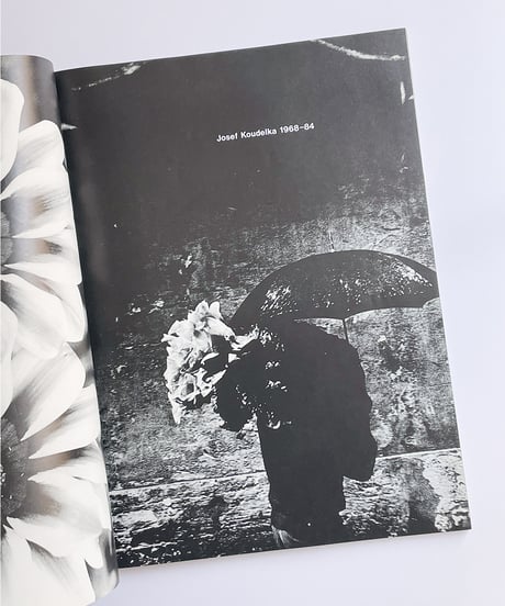 Six no.4 COMME des GARCONS コムデギャルソン