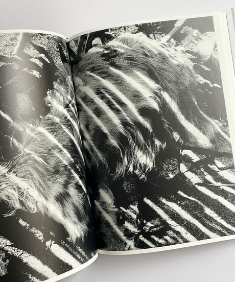光と影 | 森山大道 Light&Shadow | Daido Moriyama