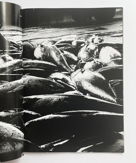 it | 森山大道 (Daido Moriyama)