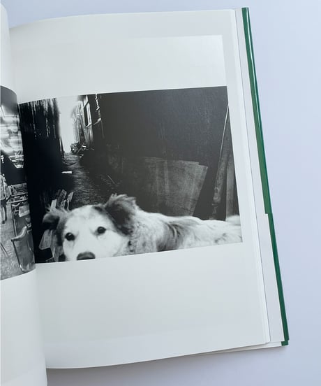 狩人 | 森山大道 A Hunter | Daido Moriyama