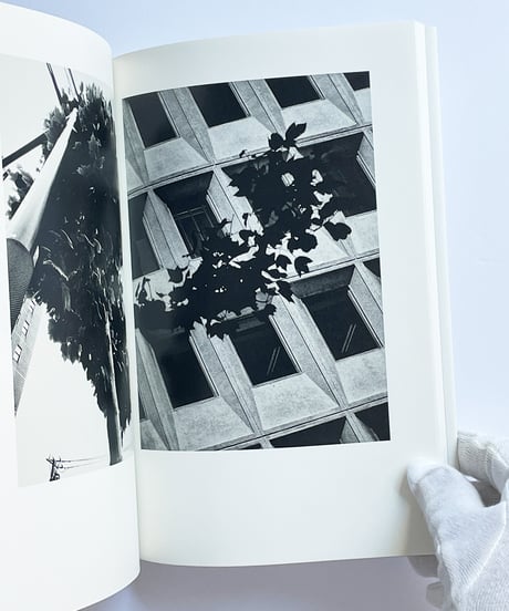 K | 森山大道 (Daido Moriyama)