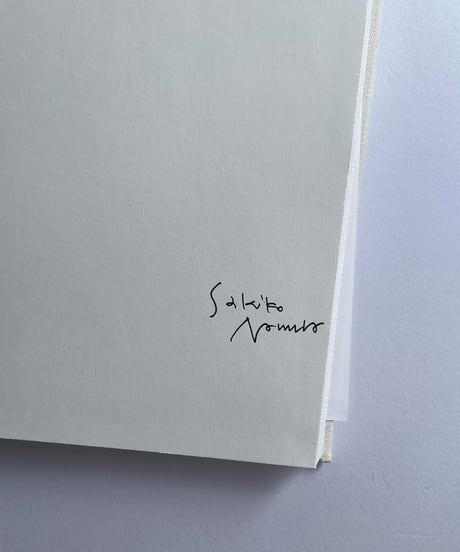 NUDE / A ROOM / FLOWERS | 野村佐紀子(Sakiko Nomura)
