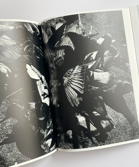 光と影 | 森山大道 Light&Shadow | Daido Moriyama