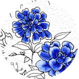 花色堂