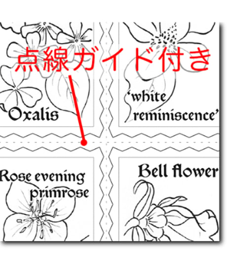 S002_小さな花_英語版