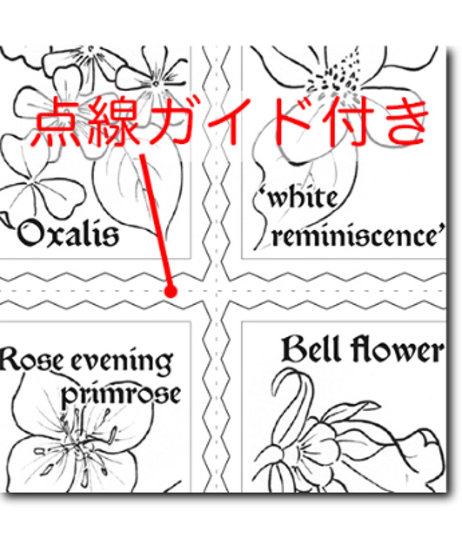 6a2182f34c7bafa04b14dfcd