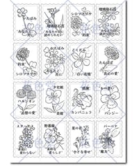 S003_小さな花_日本語版